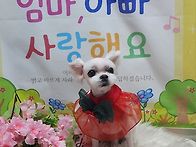 두부 어버이날 포토존