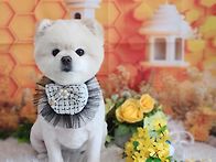 오늘 날씨 너무 예쁘다 오..