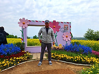 축제가 끝났어도 ..
