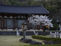 대구 송림사