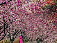 완산 공원