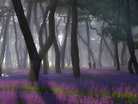 평안 (경주황성공원) ....