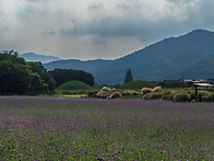 경주