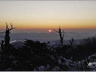 "묵은지(덕유산)"