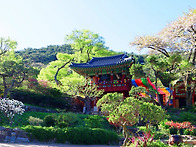 용틀임하는 봄