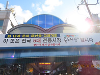 포항 환여동캠핑2..