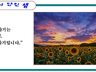 해바라기