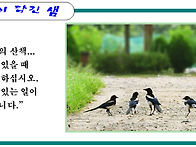 가족의 산책