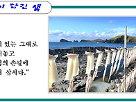 오징어 말리기