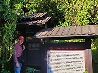 양지도 그늘이 된..