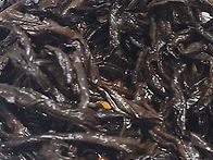 [2차 분양] 귀한 90년대 ..