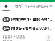 다음과 네이버카페가 둘다..