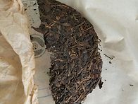 [분양]97년 송빙호 청병 ..