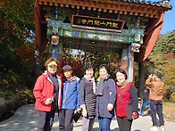 2019 소노벨리체