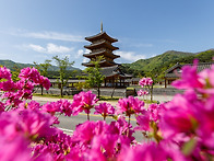 김천 평화의 탑