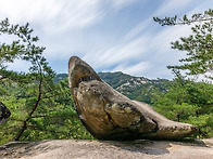 천태산 상어바위