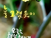 늘~그랬듯이~