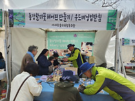 동강할미꽃 축제(2026.0..