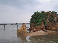 모임 사진