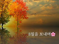 8월을 보내며