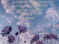 * 가장 행복한 일, 가장 ..