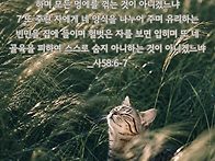 * 금식 기도의 능력을 체..