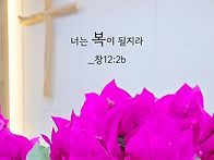 * 우리는 축복의 통로입니..