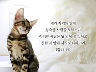 * 중요한 것을 놓치는 것..