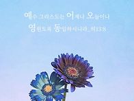 * 기적의 삶을 살겠습니다..