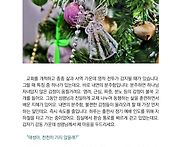 * &#65308;교회 개척&#65310; 분주하면..