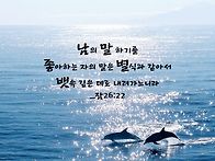 * 물고기는 언제나 입으로..