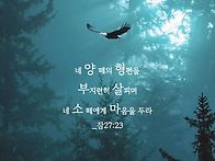 * 아이고.. 의미없다.....