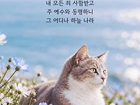 * 그 어디서나 하늘 나라를..