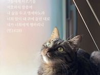 * &#65308;리더십&#65310; 산 중턱에도..