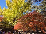 251111 내장산(내장사-우..