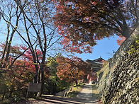 251111 내장산(백련암)