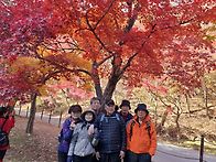 내장산 2025년 11/11일