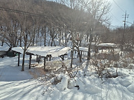 250211 장안산1