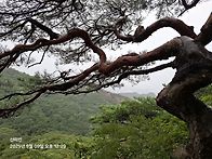 대둔산(충남 논산 해발 8..