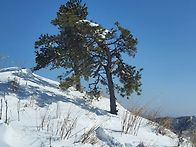 장수 장안산 눈꽃산행