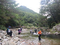 240806 인제군 아침가리계..