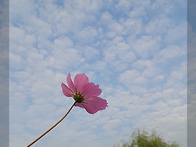 가을이군요...! (2023...