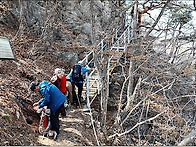 동강 백운산(26,03,21,..