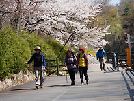 2026.4.12(일) 무너미 고..