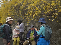 2026년 4월1일 응봉산 개..