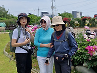 26.5.25.대부도해솔길5코..