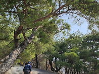 불암산/트로이별장..