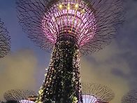 싱가폴가든스바이더베이야..