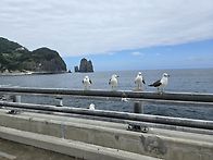 울릉도 여행
