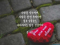 11월8일 토요일 출석부